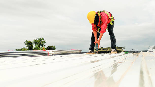 Best Solar Panel Roofing Installation  in Maricopa, AZ